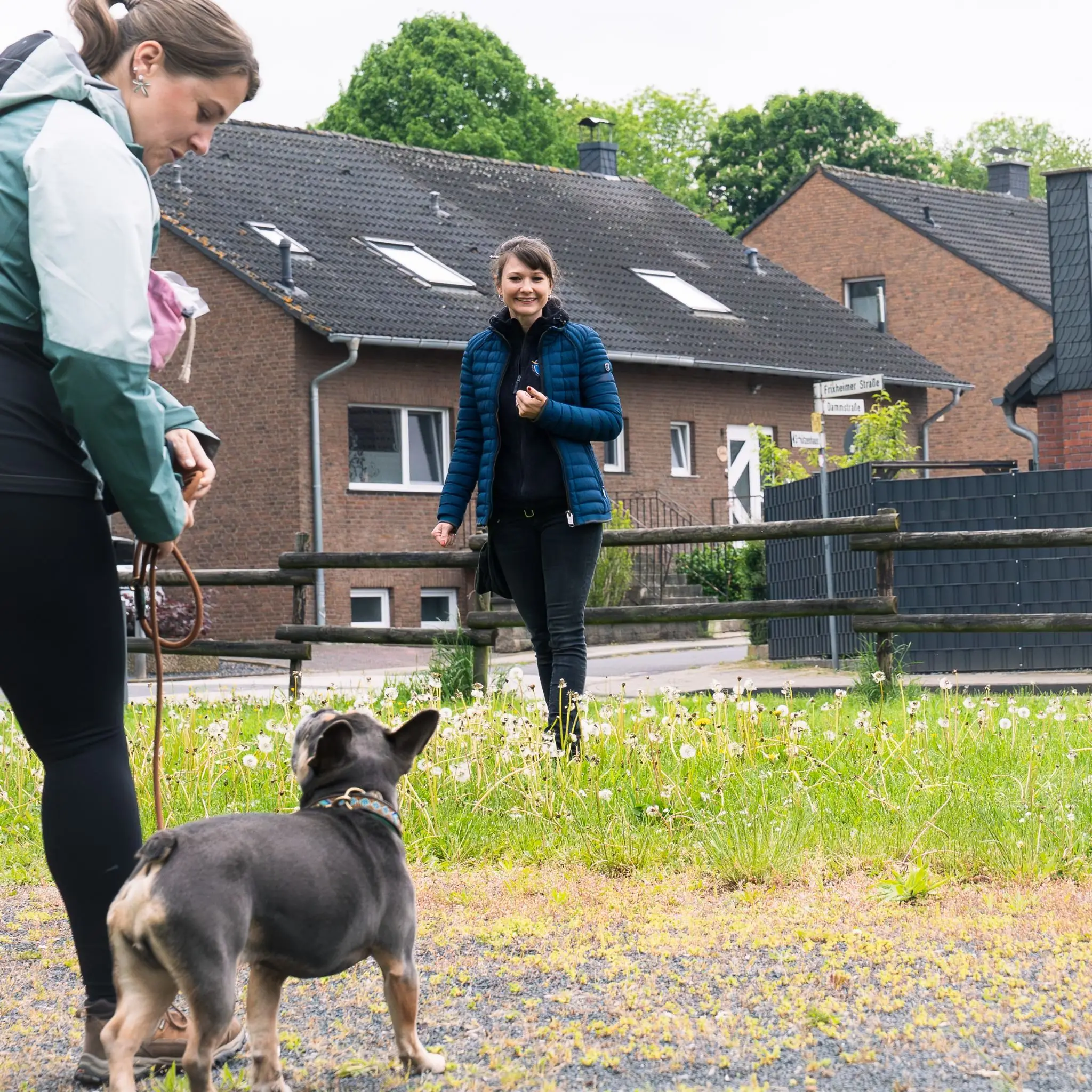 Hundetraining in Rpmmerskirchen mit Jacky und Hund