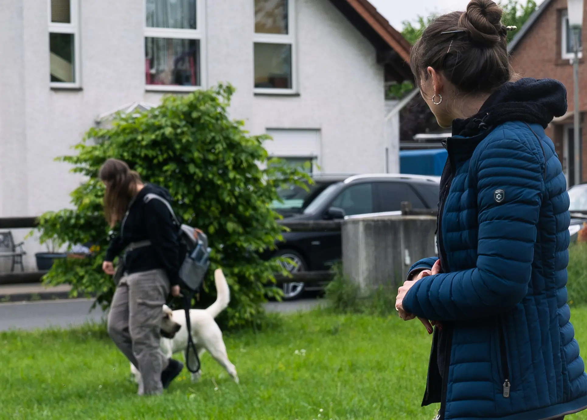 Einzeltraining mit Hund in der Hundeschule in Rommerskichen