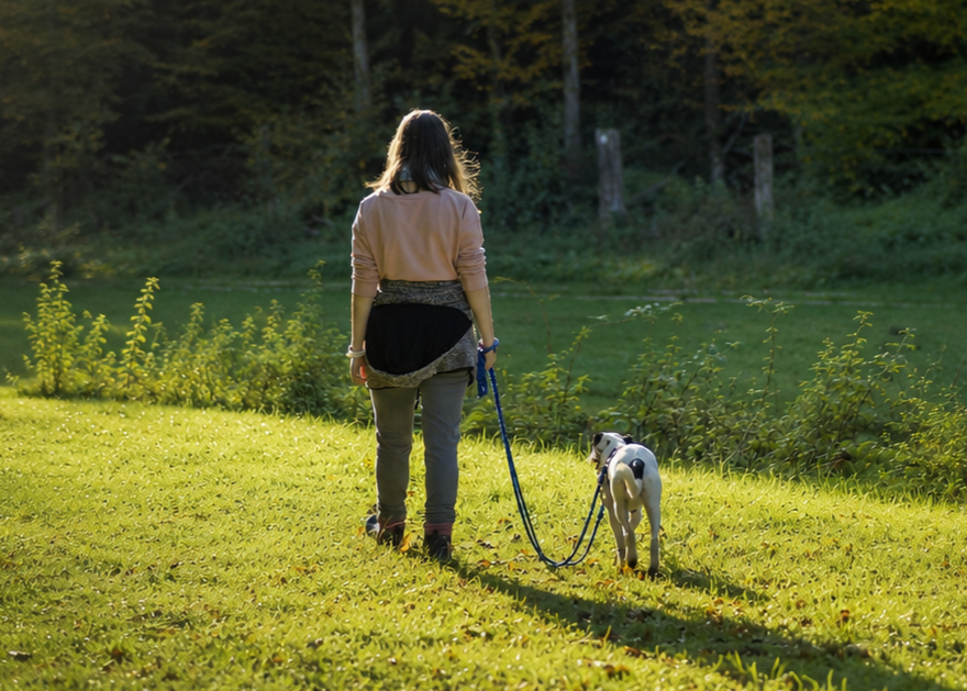 Spaziergang mit Hund an der Leine in Rommerskirchen und Umgebung